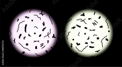 Human microbiota microscope view transplant vector probiotic cell. Microbiota microscope illustration. photo