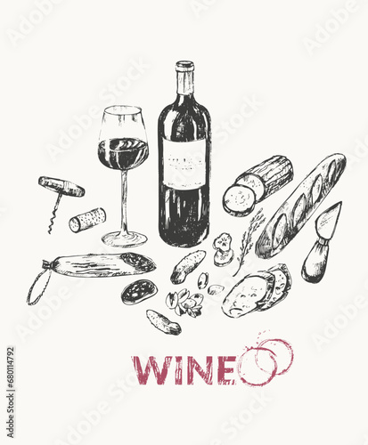 Hand drawn wine illustration set.