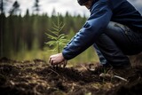 Man in blue jeans planting a small, green, needle tree outdoors. The man plants a tree in the forest to help nature.