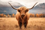 majestic highland cow grazing , a rustic Montana backdrop