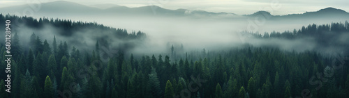 Super Ultrawide Foggy Tree Tops Forest Background photo