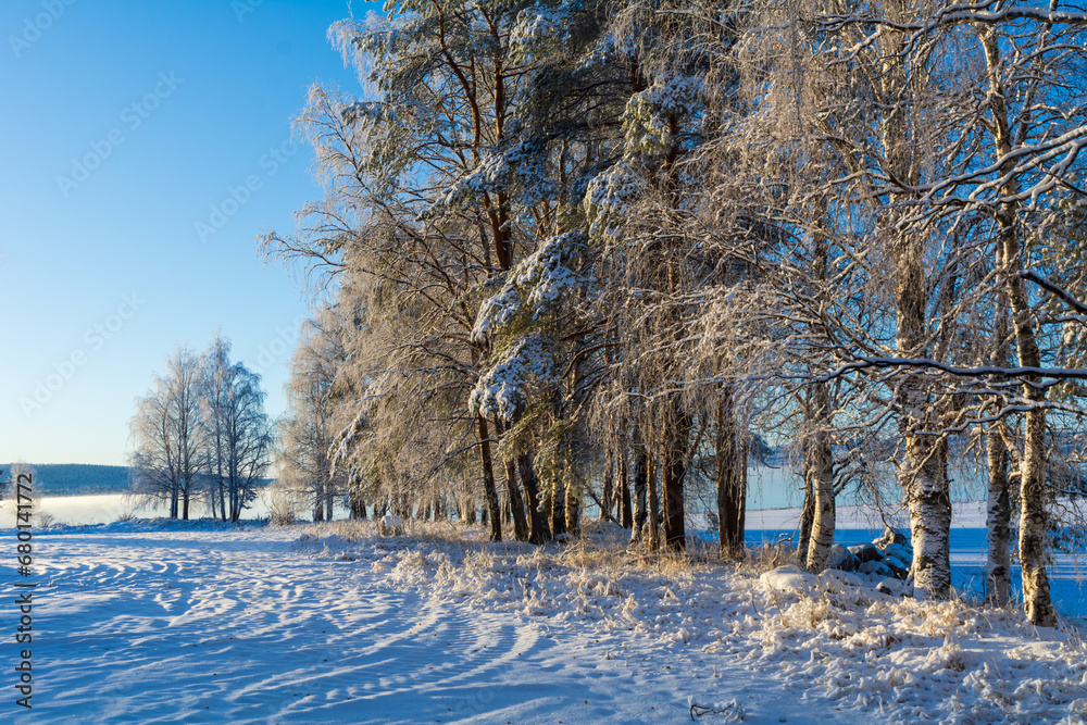 Magnificent winter landscape on a cold day