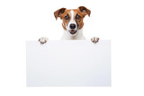 Jack russell terrier dog holding a white blank paper or placard with room for your marketing text. Isolated on transparent background. For web banner or social media cover