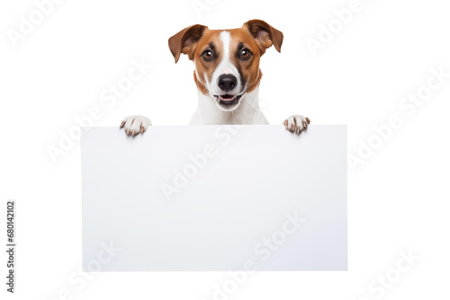 Jack russell terrier dog  holding a white blank paper or placard  with room for your marketing text. Isolated on transparent background. For web banner or social media cover photo
