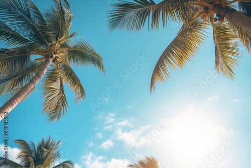 Palm trees and sky background © Tarun