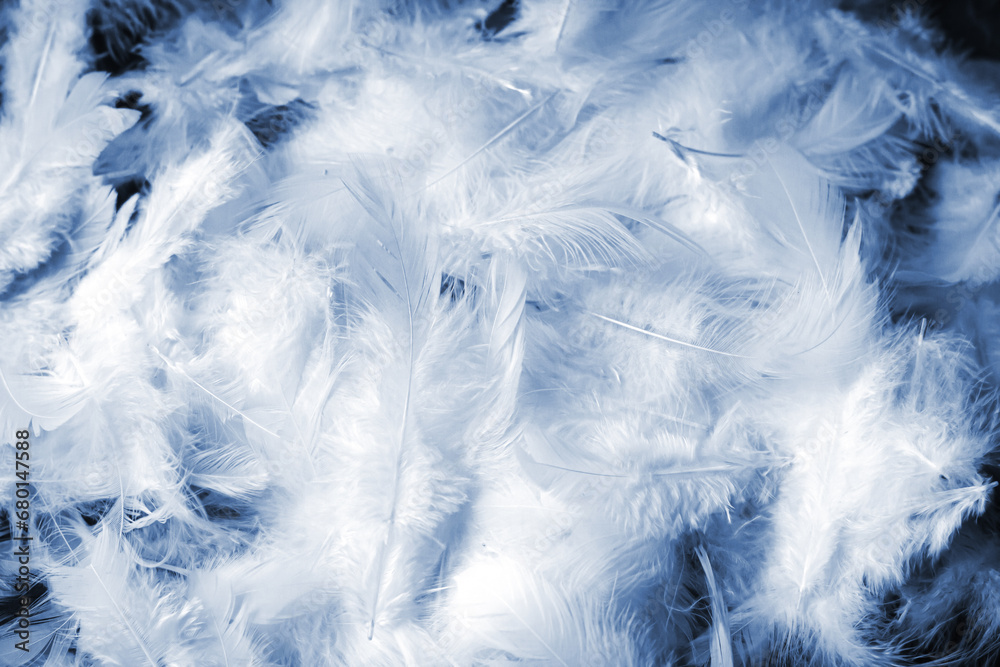 Obraz premium Blue feather pattern background texture