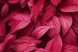 Viva Magenta beautiful view of big leaves in monochrome color. Forest Viva Magenta colored plants. Copy space. generative ai.