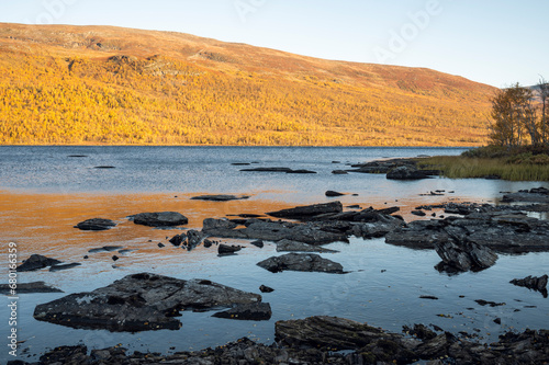 Beautiful sunny and colorful autumn morning at the Lake Abiskojaure in the Abisko National Park, Sweden photo