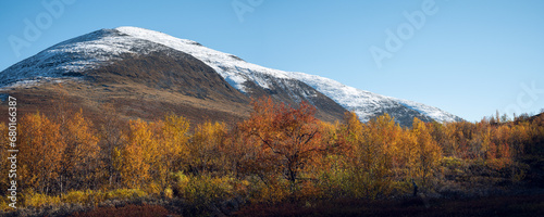 Autumn colors in the fells of Kiruna region in Swedish Lapland on a sunny day