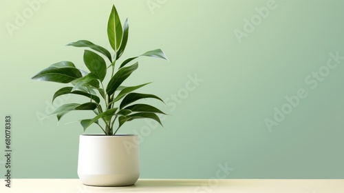  a potted plant sitting on top of a table next to a green wall and a white vase with a green leafy plant in the middle of the pot.