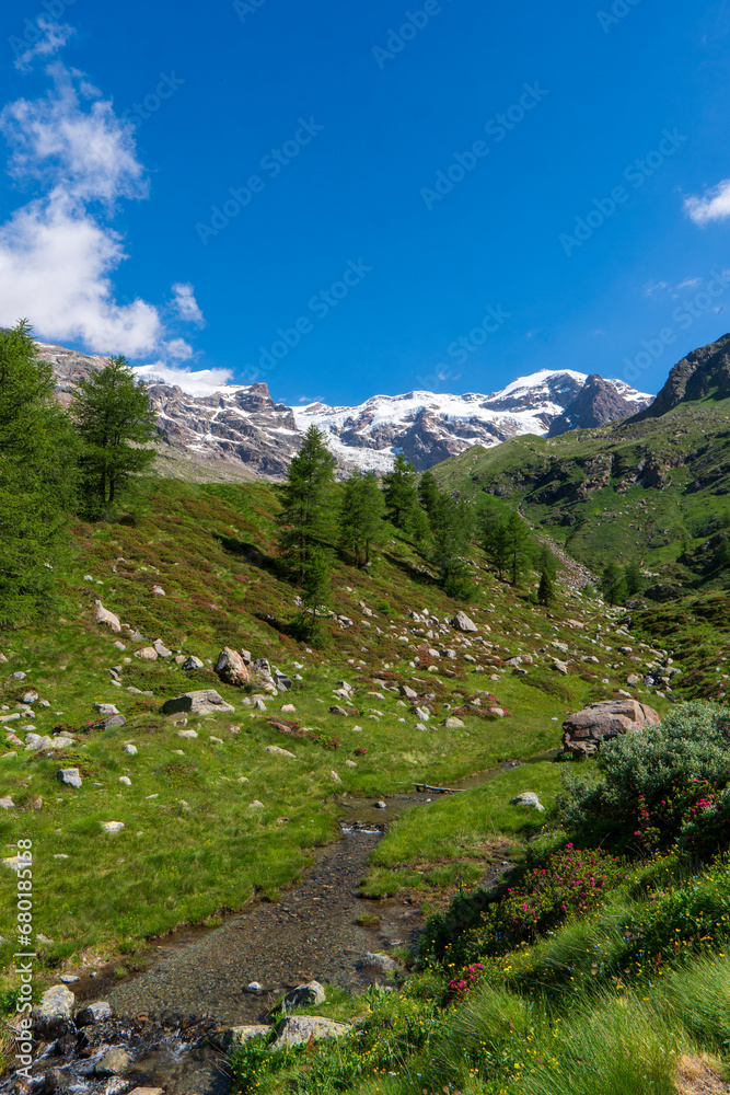 Summer view of Monte Rosa, Gressoney La Trinite, Aosta Valley, Aosta Valley, Italy. Spring landscape in Gressoney Valley (also known as Lys Valley), Monte Rosa Massif.