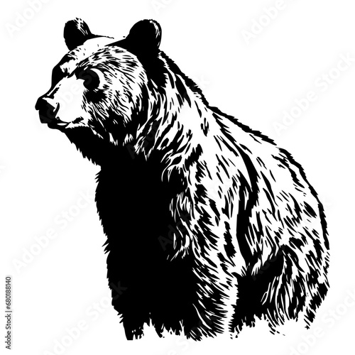 Adorable Baby Grizzly Bear Vector Illustration