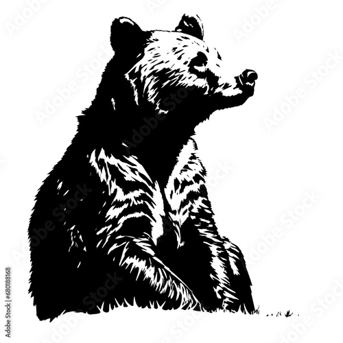 Adorable Baby Grizzly Bear Vector Illustration