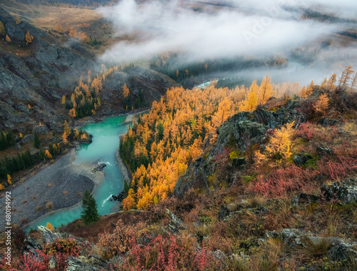 Wonderful alpine landscape with mountain river Argut in valley w