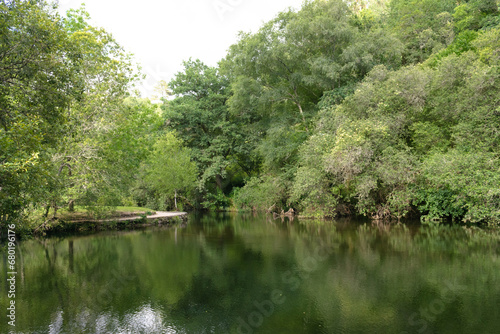 Beautiful view of the Maceira river beach surrounded by dense vegetation and tall trees. Covelo - Galicia - Spain