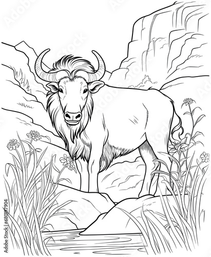wildebeest coloring page for adults