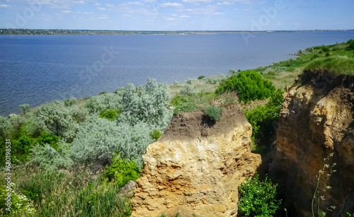 Blooming steppe vegetation along the banks of the Khadzhibey estuary in spring