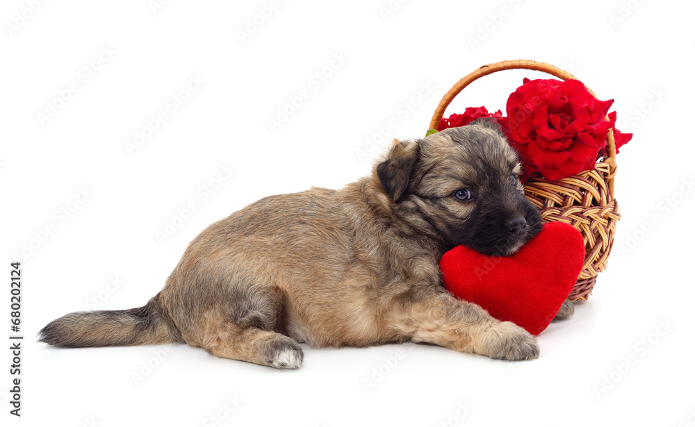 Puppy near a basket with flowers and a toy heart.