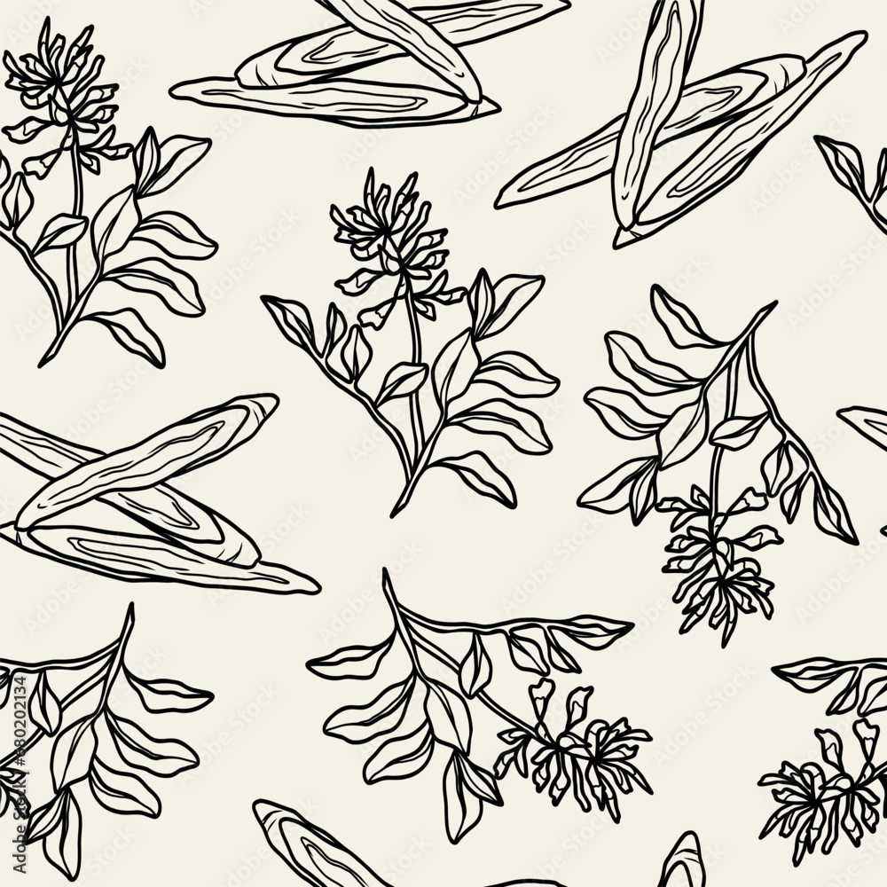 Line art Chinese liquorice or Glycyrrhiza uralensis background
