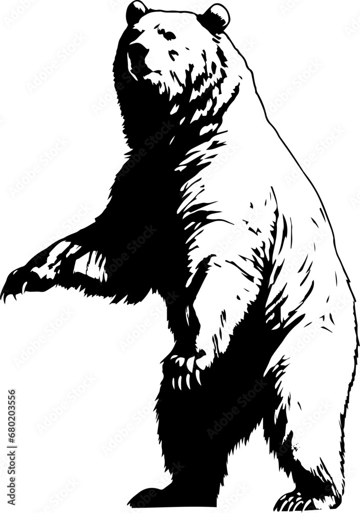 Standing Grizzly Bear Vector Illustration Standing Grizzly Bear Vector Illustration