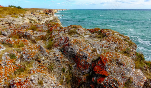 Coastal yellow and brown salt tolerant lichens on rocks near water photo