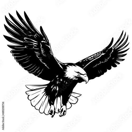 Majestic Flying Bald Eagle Vector Illustration photo