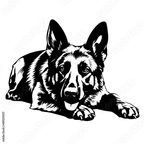  Relaxed Lying German Shepherd Vector Illustration