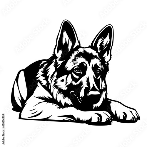  Relaxed Lying German Shepherd Vector Illustration