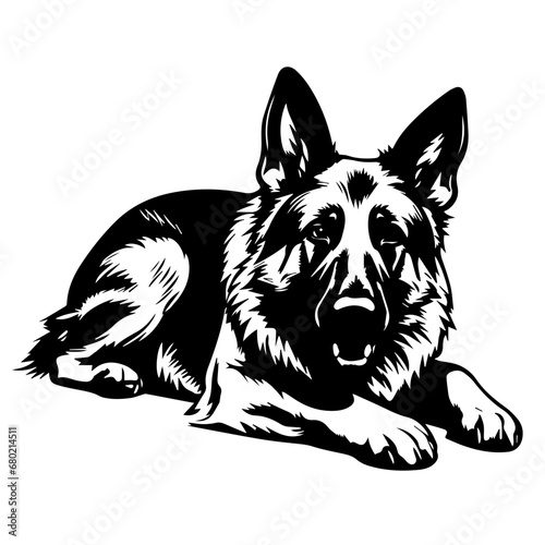  Relaxed Lying German Shepherd Vector Illustration