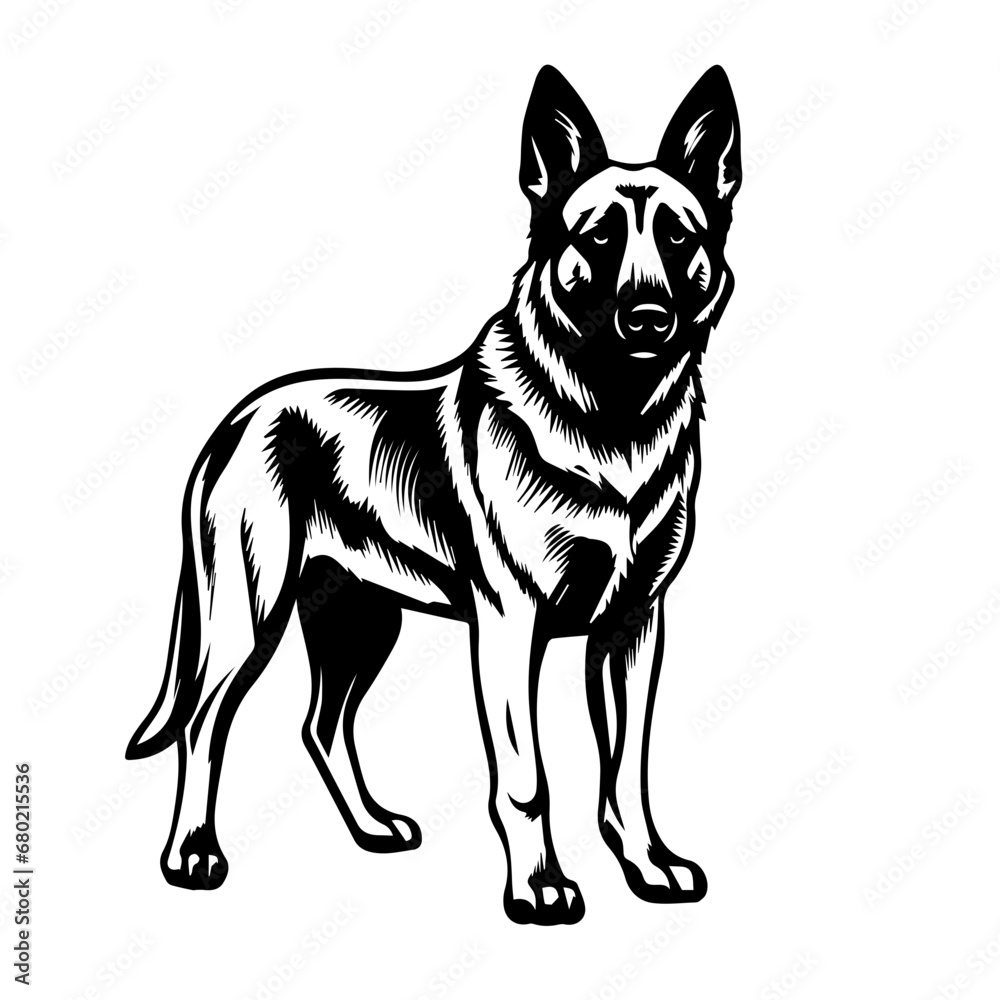 Noble Standing German Shepherd Vector Illustration