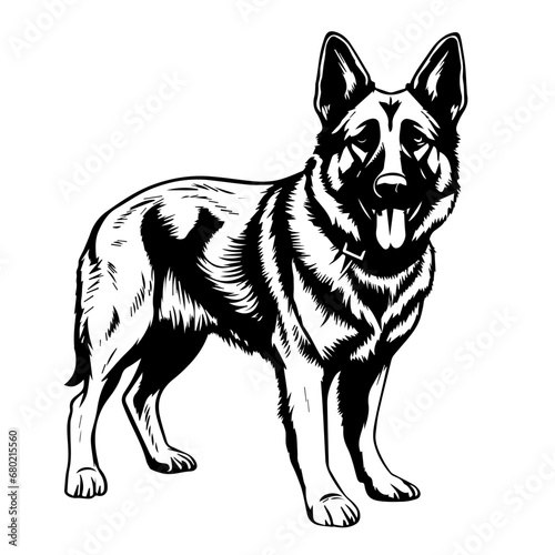 Noble Standing German Shepherd Vector Illustration