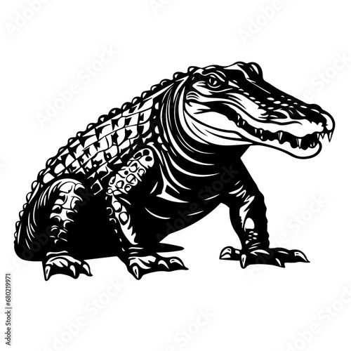 Alligator Vector Illustration © Mateusz