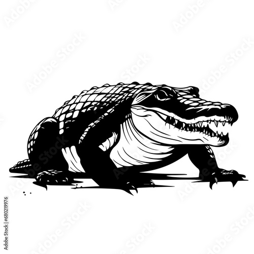 Alligator Vector Illustration © Mateusz