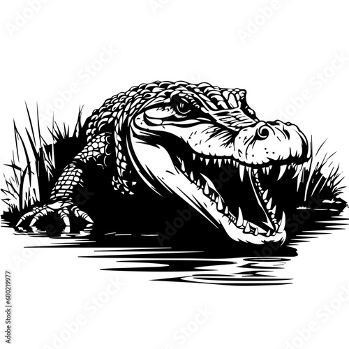 Alligator Vector Illustration