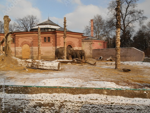 Canvas Print The building and enclosure for elephants at the Zoo.