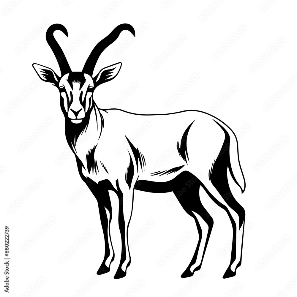 Graceful Antelope Vector Illustration Graceful Antelope Vector Illustration
