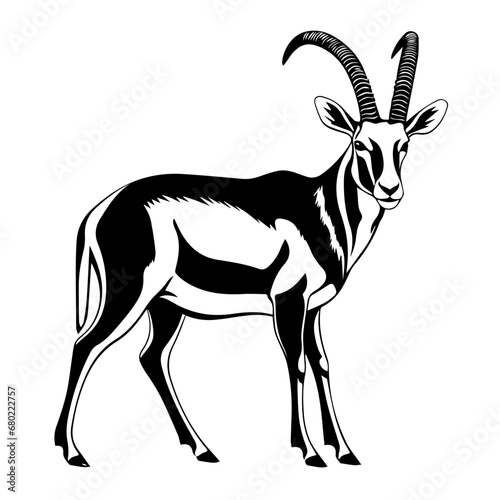 Graceful Antelope Vector Illustration