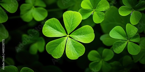 Clover Whispers - Nature's Delicate Leaves - Simple Beauty in Every Vein
