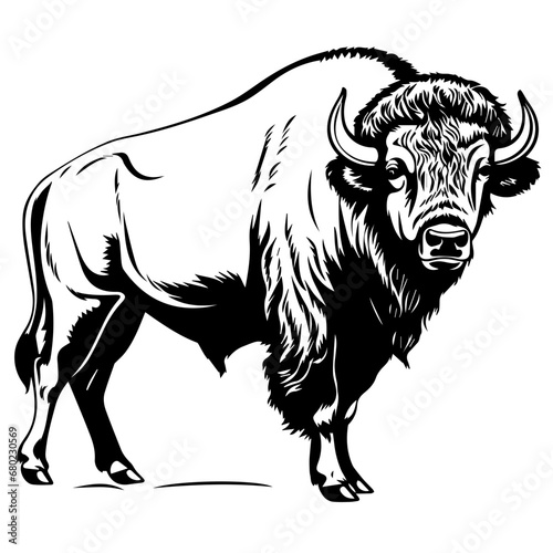 Majestic Buffalo Vector Illustration