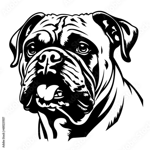 Adorable Bulldog Vector Illustration