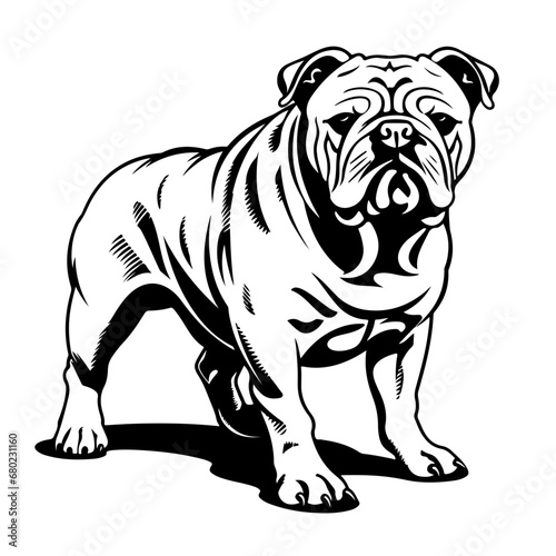 Adorable Bulldog Vector Illustration © Mateusz