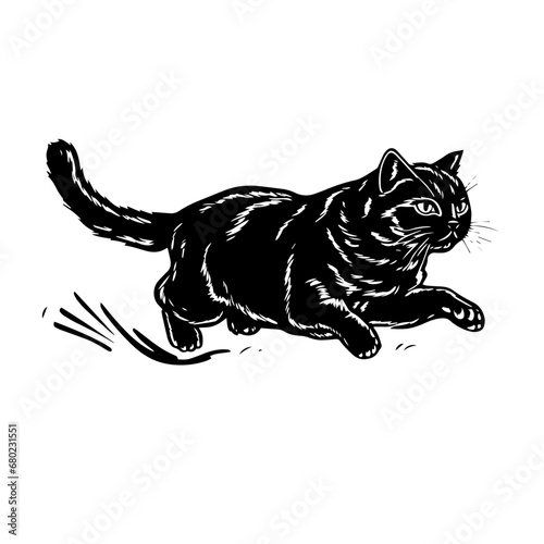 Graceful Cat Vector Illustration
