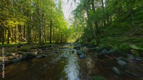 fpv drone flying above river thought forest with autumn colors sunny day Vosges