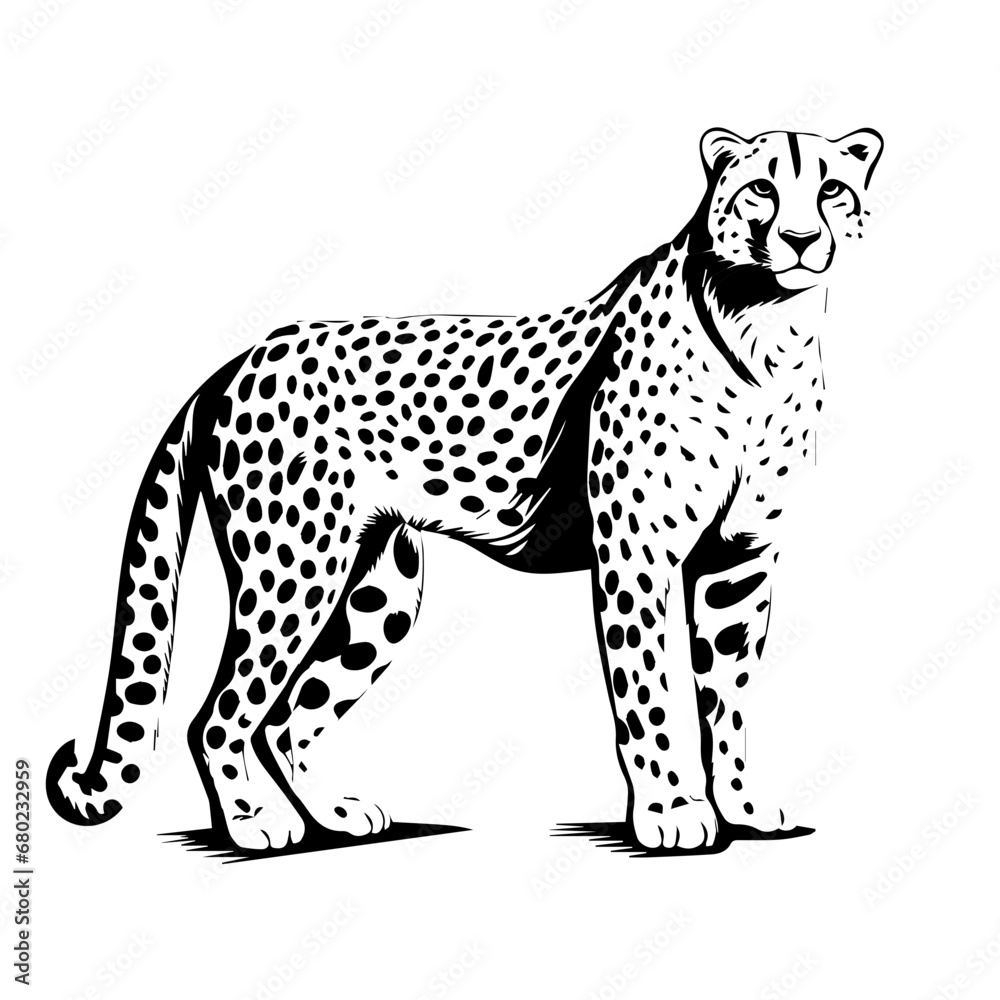 Swift Cheetah Vector Illustration Swift Cheetah Vector Illustration