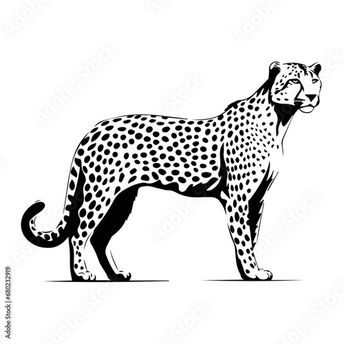 Fototapeta Naklejka Na Ścianę i Meble -  Swift Cheetah Vector Illustration