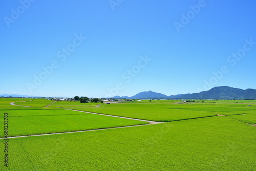 	弥彦山　角田山と田園風景（新潟県）