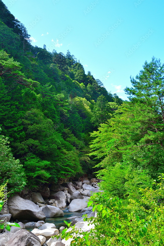 Obraz premium 阿寺渓谷(長野県)