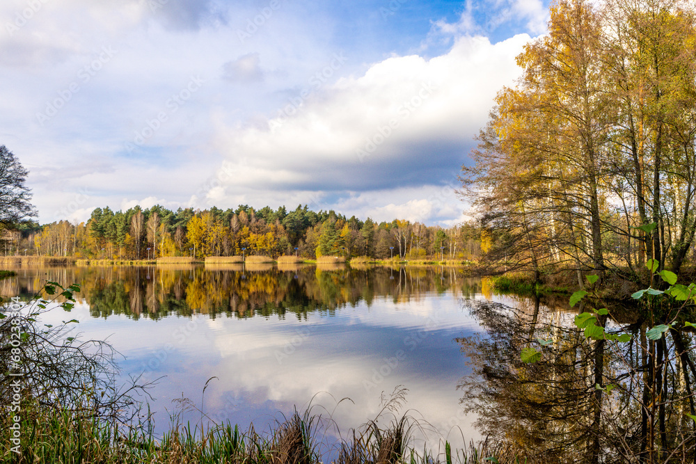 Autumn landscape by the lake, yellow grass, orange leaves falling from the trees Autumn landscape by the lake, yellow grass, orange leaves falling from the trees