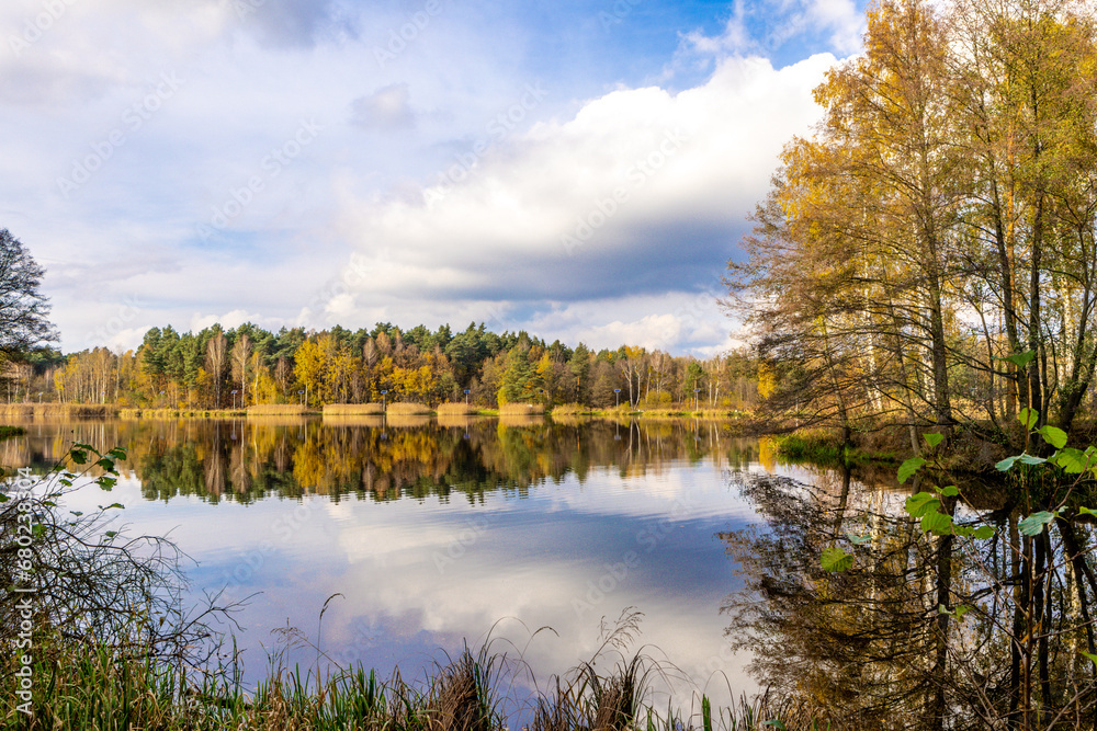 Autumn landscape by the lake, yellow grass, orange leaves falling from the trees