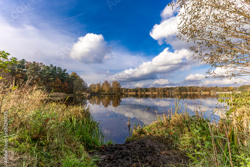 Fototapeta Naklejka Na Ścianę i Meble -  Autumn landscape by the lake, yellow grass, orange leaves falling from the trees